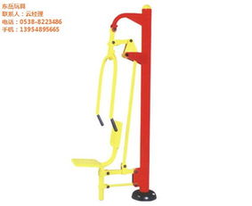 東岳玩具 從玩具到健身器材品牌的創(chuàng)新轉(zhuǎn)型與養(yǎng)生保健服務(wù)融合