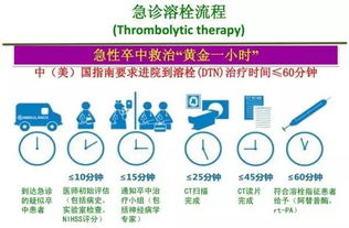 腦卒中健康管理與養(yǎng)生保健服務(wù)全解析