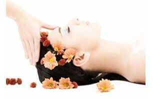 黛詩(shī)菲爾 以專業(yè)匠心，開(kāi)啟您的美麗財(cái)富與健康生活新篇章